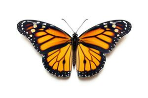 A beautiful monarch butterfly isolated on white background. Butterfly. Generative Ai photo