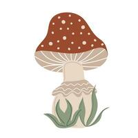 Amanita Muscaria. Hand drawn mushroom. Stylized element for autumn decorative design vector