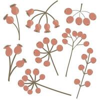 Set of autumn berries.Rowanberry and rosehip. Hand drawn elements for autumn decorative design vector