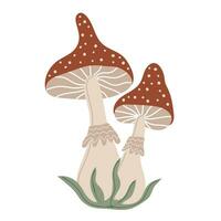 Amanita Muscaria. Hand drawn mushroom. Stylized element for autumn decorative design vector