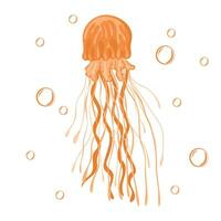 Jellyfish. Marine dweller. Concept of sea and ocean life vector