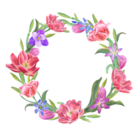 Watercolor wreath of tulips, daffodils, crocuses, scillas . Botanical painting for postcard design, invitation template, Valentines day, birthday, wedding, mother day cards png