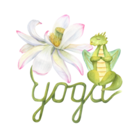 Green dragon meditating on lotus stem. Animal practicing fitness exercises. Realistic water lily flower and cartoon dragon. Stem curving into the word yoga. Watercolor illustration for yoga center png
