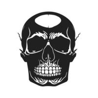 Scary vintage skulls set isolated. Skull isolated tattoo. Hand drawn line art vector illustration. skull vintage design. Black and white. Horizontal vector tattoo set. Abstract skull tattoo. photo