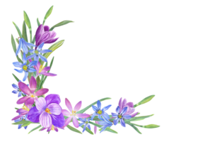 waterverf kader met scilla's, narcissen, krokus. voorjaar illustratie voor de ontwerp van valentijnsdag dag, verjaardag, bruiloft ansichtkaarten, uitnodigingen png