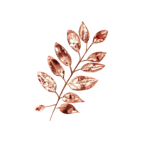 Imprint of autumn rowan. Watercolor illustration of fall dry leaf for herbarium decoration, prints, posters, texture, frame, cards, patterns png