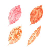 Imprints of autumn leaves in orange, pink colors. Set of fall dry leaves. Watercolor illustration of colorful leaf silhouettes for posters, texture, frame, cards png