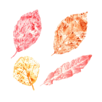 Imprints of autumn leaves in orange, yellow, pink colors. Set of fall dry leaves. Watercolor illustration of colorful leaf forms for posters, texture, frame, cards png