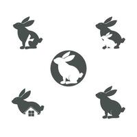 conjunto de Conejo íconos vector ilustración