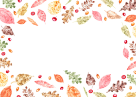 Horizontal frame of colorful autumn leaves imprints, sea buckthorn, red bilberries. Watercolor illustration of fall dry leaves, red and orange berries. png