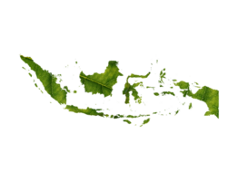 Indonesia mapa hecho de verde hojas, concepto ecología mapa verde hoja png