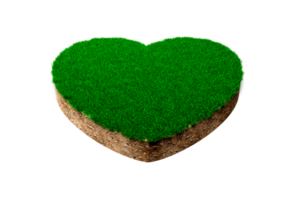 Heart shape soil land geology cross section with green grass, earth mud cut away isolated 3D Illustration png