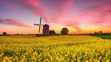 Panorama with pre-sunrise time with old windmill and rapeseed field with pink clouds, Generative AI photo