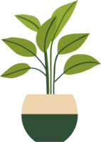 houseplant drawing illustration. png