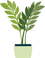 houseplant drawing illustration. png