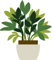 houseplant drawing illustration. png