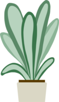 houseplant drawing illustration. png