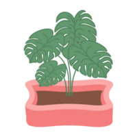 Green Plant In A Vase Pot png