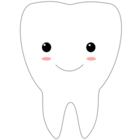 carino molare dente png
