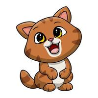 Cute cat cartoon on white background vector