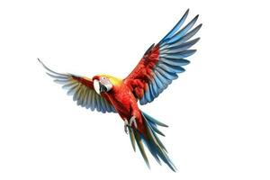 A Scarlet macaw parrot flying isolated on white background. Generate Ai photo