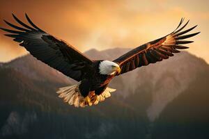 americano calvo águila volador en el nubes a puesta de sol. águila. generativo ai foto