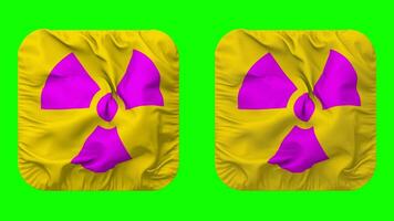 radioattività icona stoffa senza soluzione di continuità loop agitando nel scudiero forma isolato con pianura e urto struttura, 3d rendering, verde schermo, alfa Opaco video