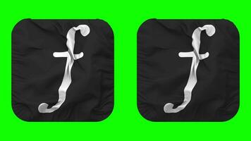 Guilder Currency Icon Cloth Waving in Squire Shape Isolated with Plain and Bump Texture, 3D Rendering, Green Screen, Alpha Matte video