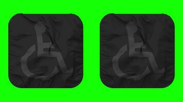 international symbole de accès icône tissu sans couture en boucle agitant dans écuyer forme isolé avec plaine et bosse texture, 3d le rendu, vert filtrer, alpha mat video