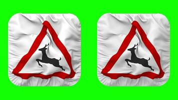 Wild Animal Warning Icon Cloth Seamless Looped Waving in Squire Shape Isolated with Plain and Bump Texture, 3D Rendering, Green Screen, Alpha Matte video