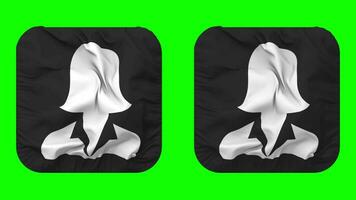 Female Face Icon Cloth Seamless Looped Waving in Squire Shape Isolated with Plain and Bump Texture, 3D Rendering, Green Screen, Alpha Matte video