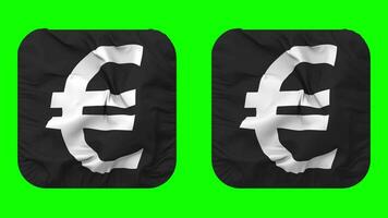 Euro moneta icona stoffa agitando nel scudiero forma isolato con pianura e urto struttura, 3d rendering, verde schermo, alfa Opaco video