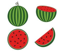 Fresh watermelon fruits, in different condition. vector