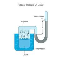 Chemical illustration.Vapour pressure. It is the pressure exerted by gas in equilibrium with a solid or liquid in a closed container at a given temparature. vector