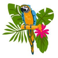 Beautiful floral exotic vector illustration with a parrot, tropical leaves. Isolated on a white background. A variety of leaves with a yellow-blue parrot on a branch. printing for a picture in a frame