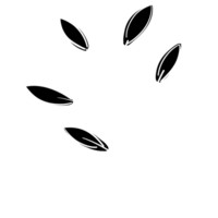 Hand Drawn Line Art Plants png