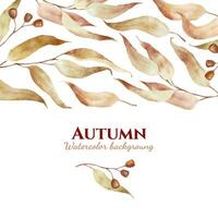 Watercolor autumn leaves background. Red and brown eucalyptus branches border isolated on white. Square design for leaflets, cards or invitations with space text. vector