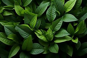 Captivating top view of textured green leaves, a natures wonder AI Generated photo