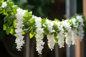 Garland of jasmine, flowers beautifully crafted, popular in South India as an ornament for girls and women. photo