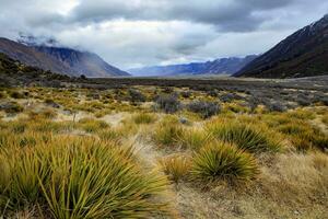 aoraki - mt.cook national park new zealand photo