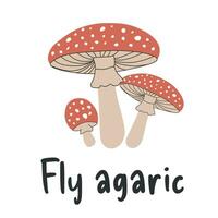 Three fly agaric in cartoon style on a white background. Fly agaric vector graphics illustrator. Autumn, mushroom season