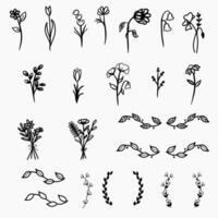 botánico línea flores y ornamento colección vector