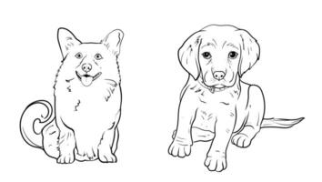 set of hand drawn Outlined animal dog head. Vector illustration beagle dog is a simple vector sketch illustration