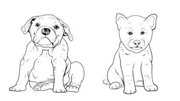 set of hand drawn Outlined animal dog head. Vector illustration beagle dog is a simple vector sketch illustration