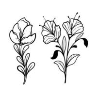 set of Botanical arts. Hand drawn line drawing of abstract flower, floral, rose, tropical leaves, spring and autumn leaf, bouquet of olives vector