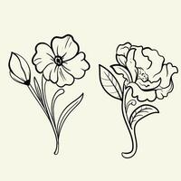 set of Botanical arts. Hand drawn line drawing of abstract flower, floral, rose, tropical leaves, spring and autumn leaf, bouquet of olives vector