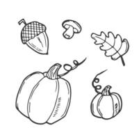 Autumn vector collection. Outline Set of fall vector objects pumpkin leaves