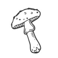 dibujado a mano Amanita muscaria garabatear icono. mano dibujado negro bosquejo. firmar dibujos animados símbolo. decoración elemento. blanco antecedentes. aislado. plano diseño. vector ilustración.