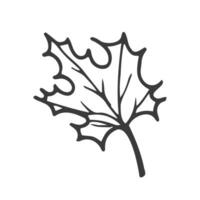 Hand drawn maple leaf outline. Maple leaf in line art style isolated on white background. vector