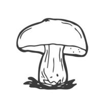 porcini seta mano dibujado vector ilustración. bosquejo estilo dibujo aislado en blanco antecedentes con rebanado piezas. orgánico vegetariano objeto para menú, etiqueta, receta, producto embalaje